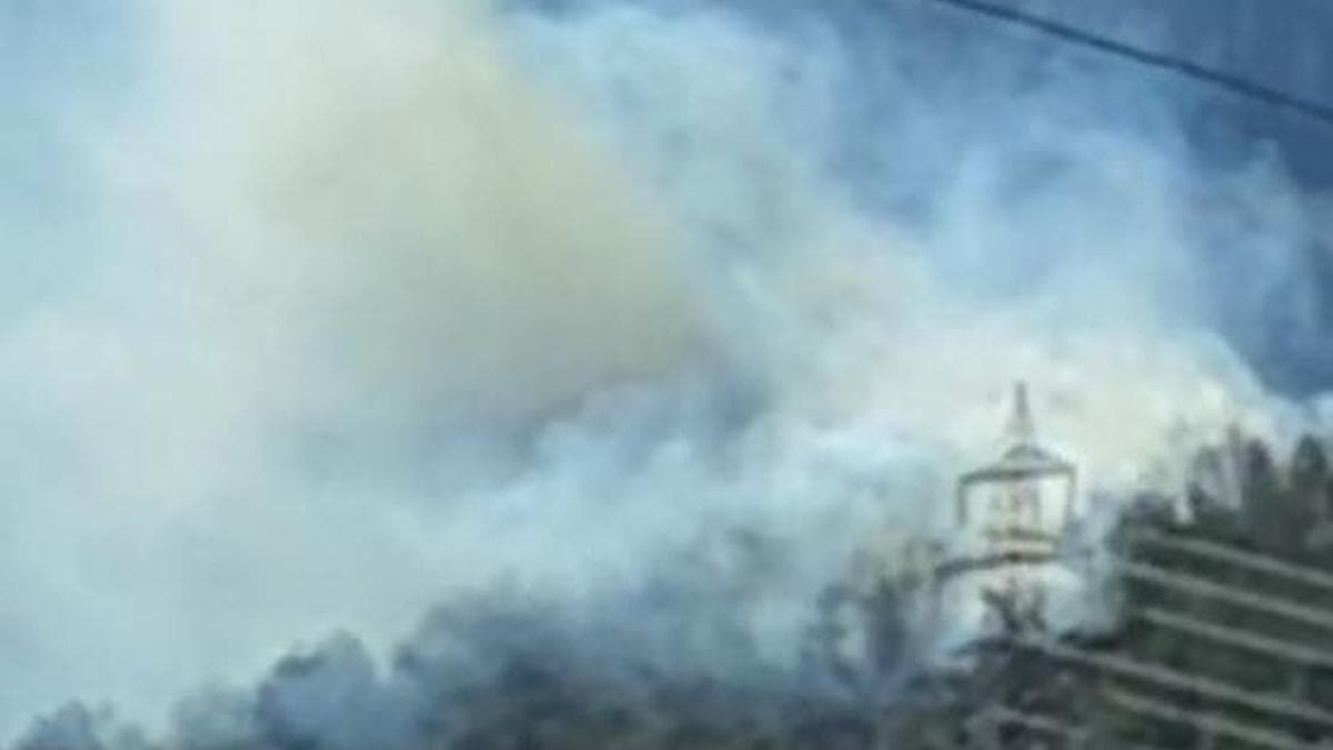 Osmaniye'de orman yangını