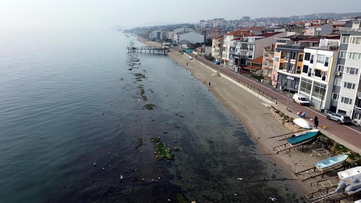 Tekirdağ'da deniz 7 metre çekildi; 'Kral Yolu' ortaya çıktı