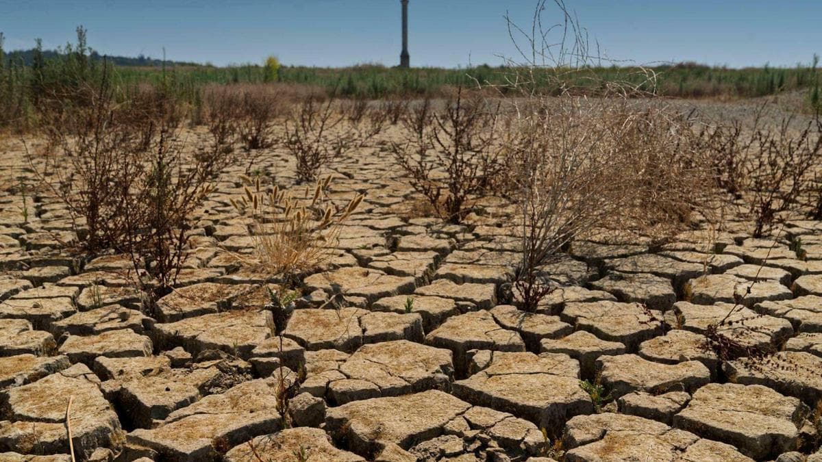 'Türkiye'de kronik kuraklık sürüyor'