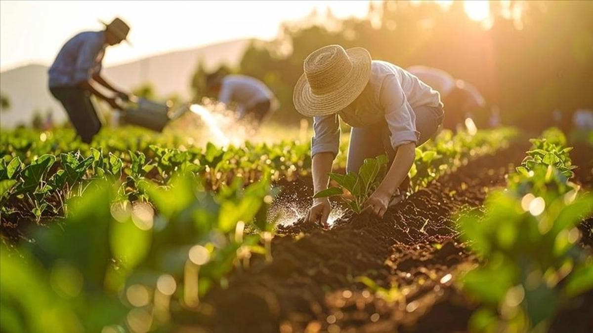 Gübrede gümrük vergisi sıfırlandı: Üre ithalatında yeni dönem