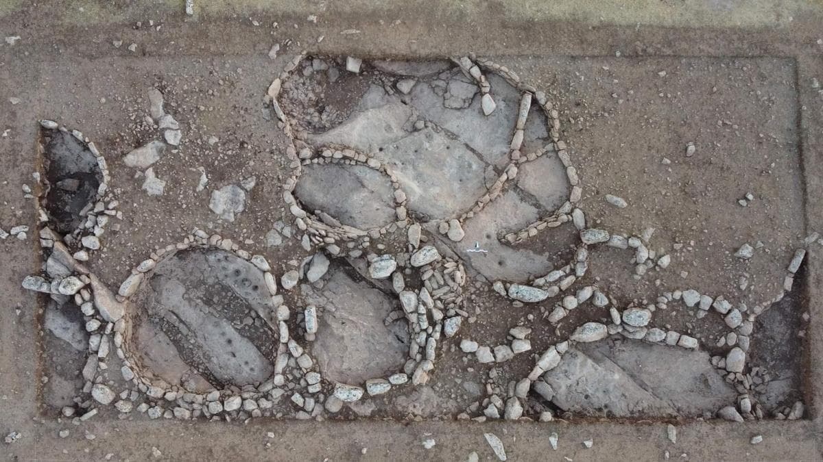 Göbeklitepe'nin atası Çakmaktepe