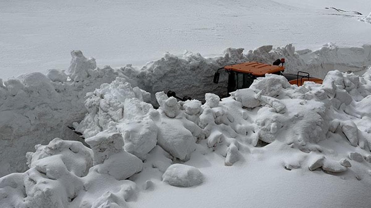 Erzincan'da Kar Kaplanları Metrelerce Kar ile Mücadele Ediyor