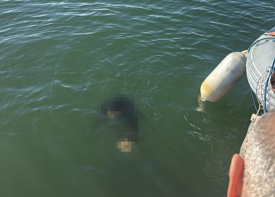 İzmir'de Tekerlekli Sandalyesiyle Denize Düşen Kişi Kurtarılamadı