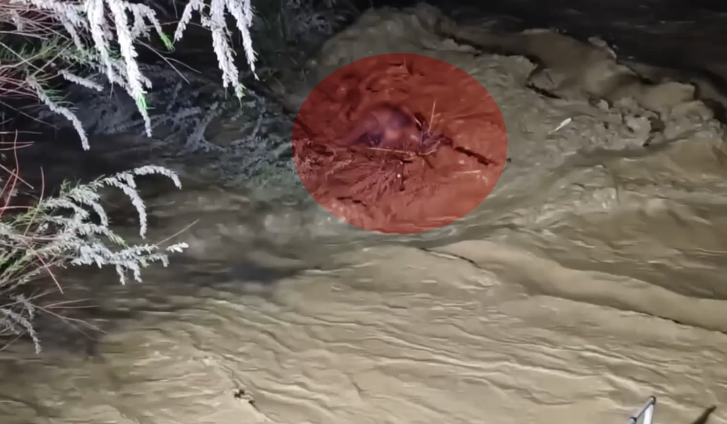 Aydın'da Taşan Çaya Kapılan Sürücü 4 Saatte Kurtarıldı