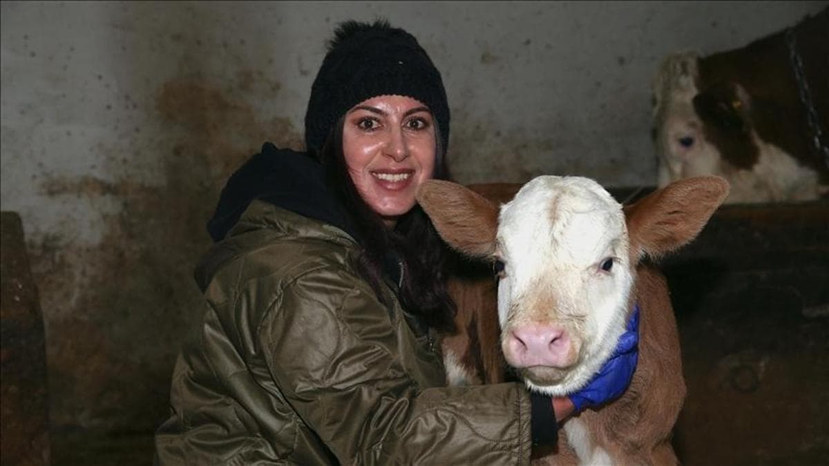 Devlet desteğiyle başladı, 3 yılda 200 başlık sürüye ulaştı